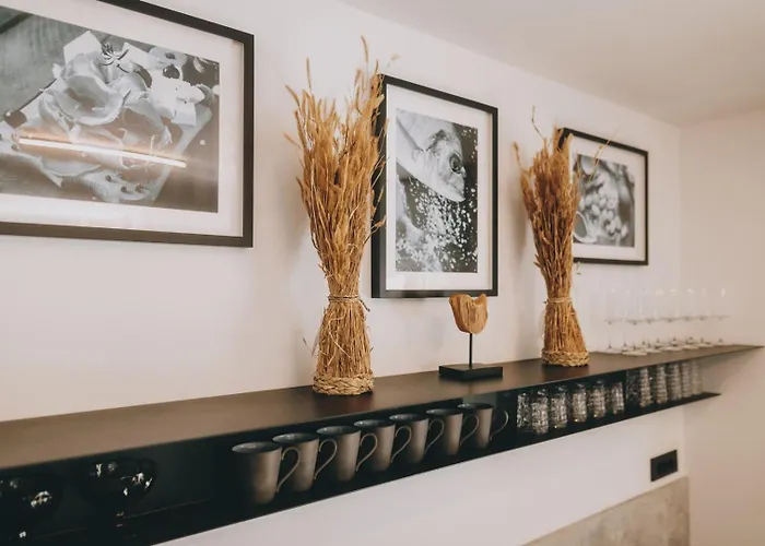 Casa Vitale * Tinjan